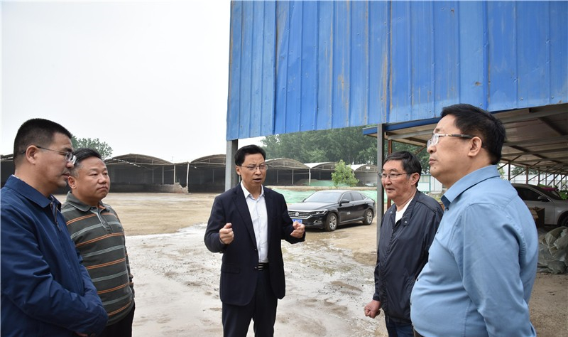张建军调研督导突出生态环境问题整改工作_宿州市埇桥区人民政府