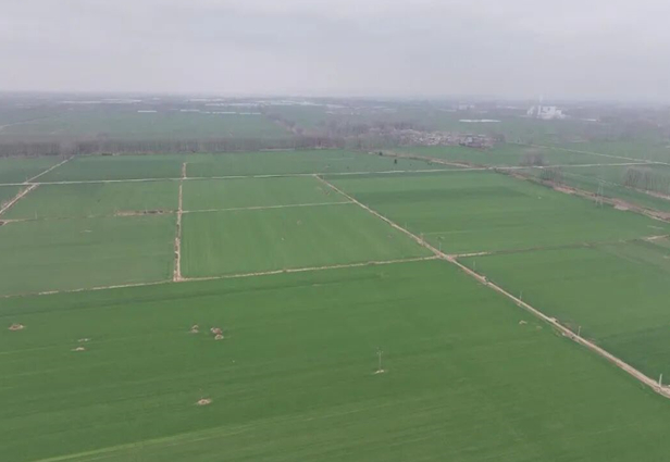 《宿州埇桥发布》3月11日报道：埇桥区抢抓农时推进小麦春管 科技助农夯实丰收基础