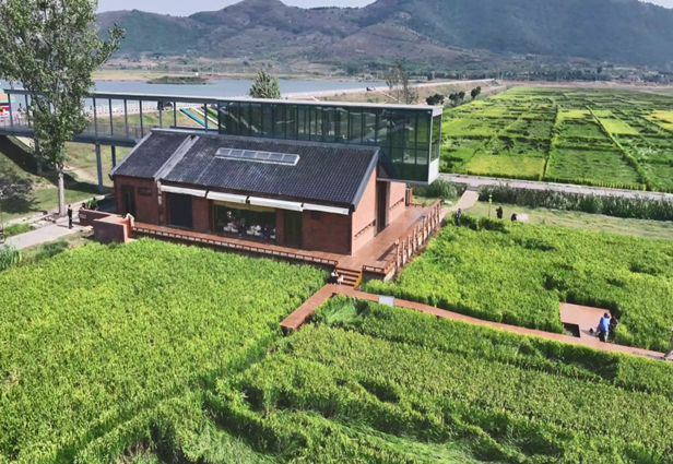 《宿州埇桥发布》3月18日报道：创新“云端”宣讲阵地 赋能乡村文化振兴