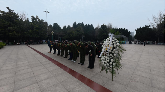 埇桥区道东街道组织参试参战退伍老兵开展清明祭扫活动