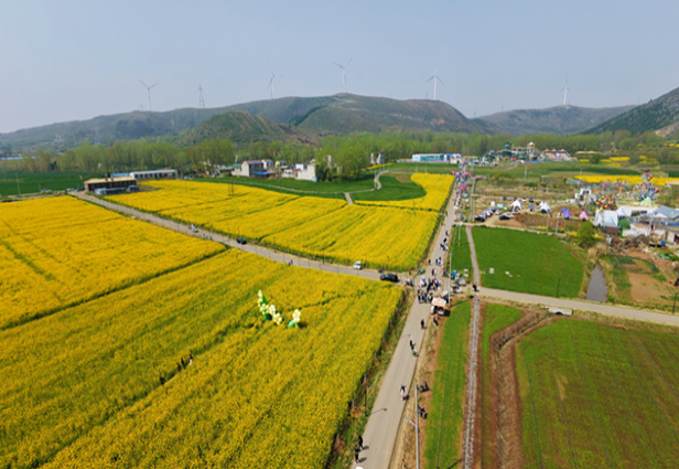 《埇桥新闻网》4月8日报道：符离镇：繁花绽放“美丽经济”