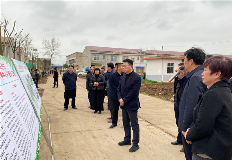 杨松涛一行先后来到芦岭镇相王中心村,蕲县镇许寨中心村,现场听取相关