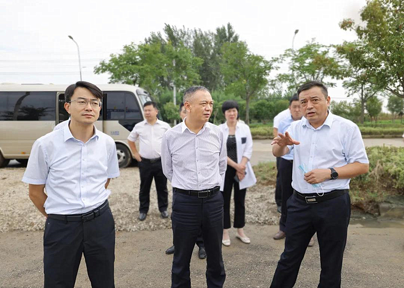 朱卫东调研项目建设及矿山生态修复情况