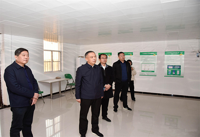 朱卫东调研乡村振兴工作