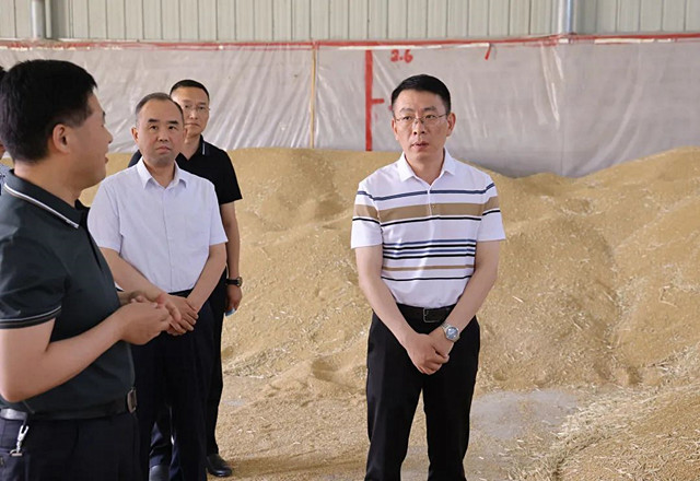 杨松涛调研"三夏"及秸秆禁烧工作_宿州市埇桥区人民政府