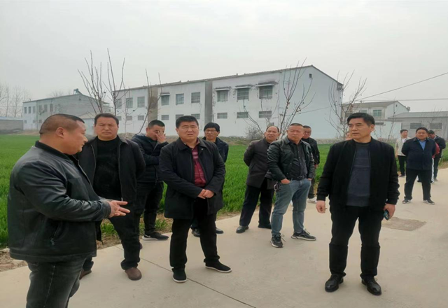 支河镇湾里村,符离镇灵寺村三个村进行了观摩学习